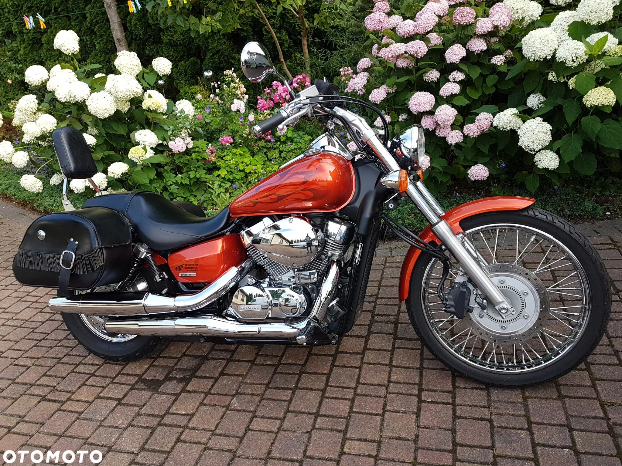 Honda Shadow - 1