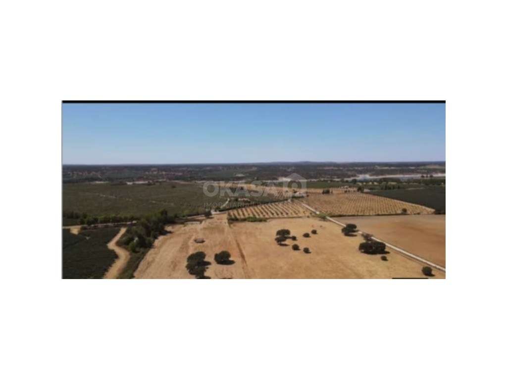 Terreno , Avis, Portalegre - Grande imagem: 4/12