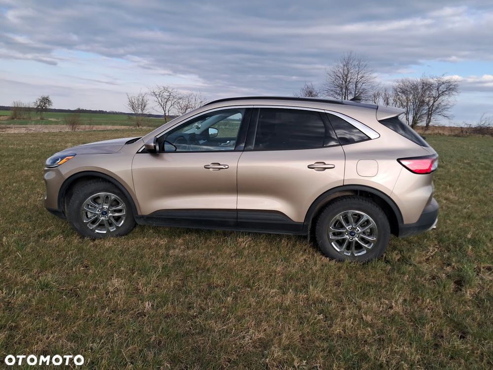 Ford Escape - 8