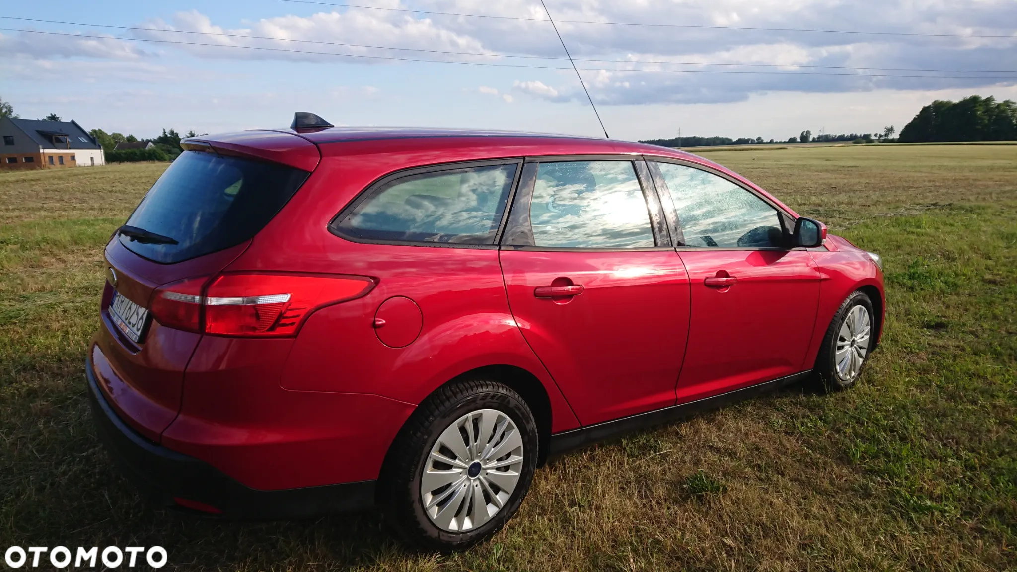 Ford Focus - 24