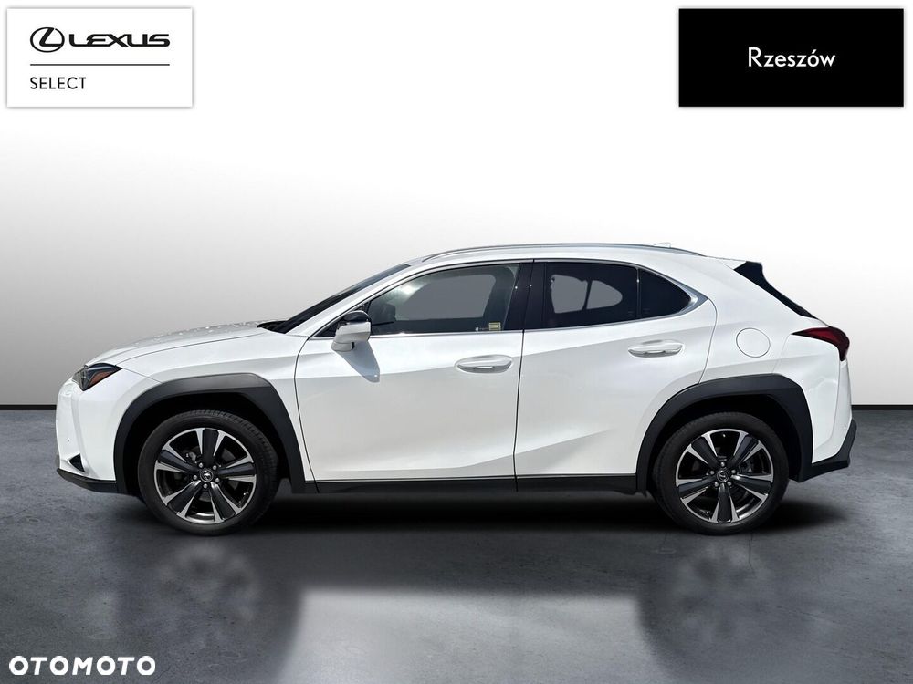 Lexus UX 250h GPF Business 2WD - 2