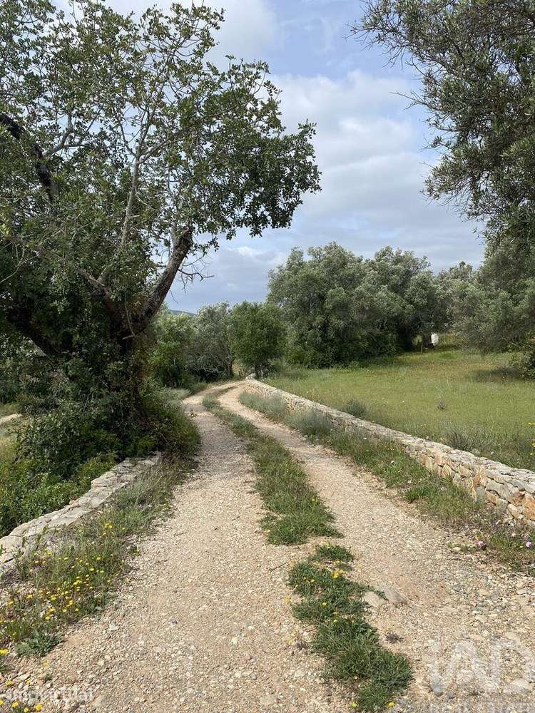 Terreno para construção em Santa Bárbara de Nexe - Grande imagem: 4/10