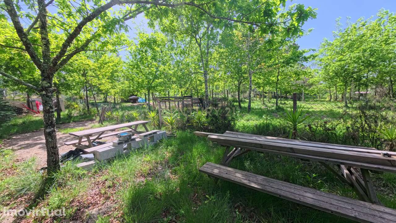 Quinta acolhedora em Gestosa - Santa Comba Dão - Grande imagem: 5/6