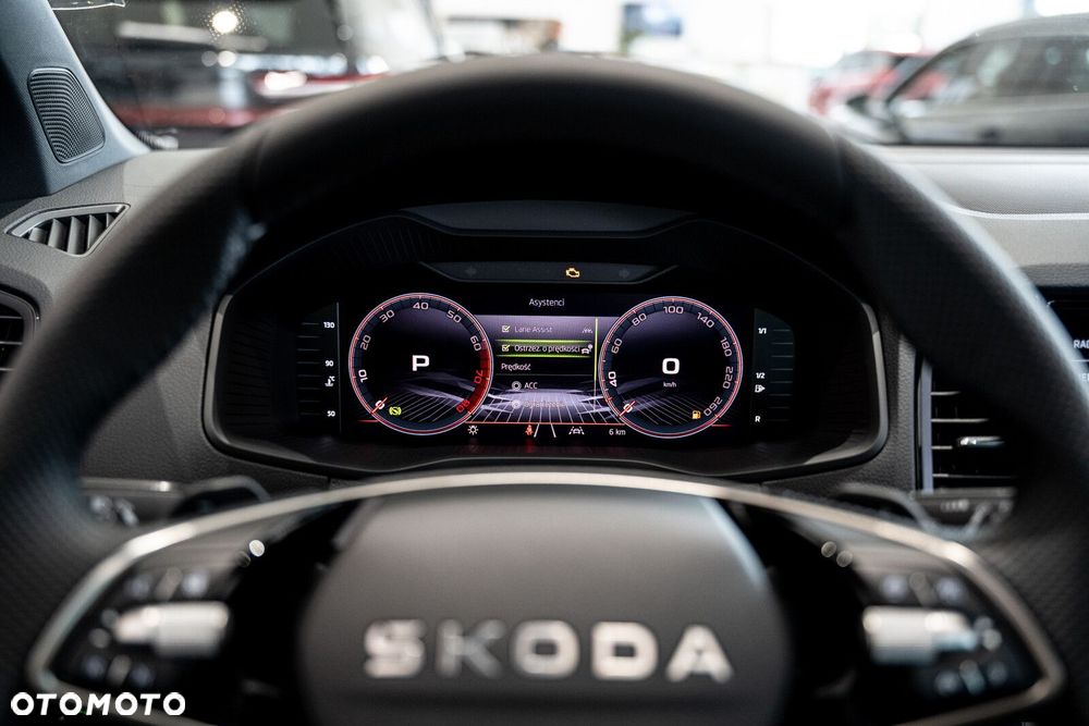 Skoda Karoq - 10