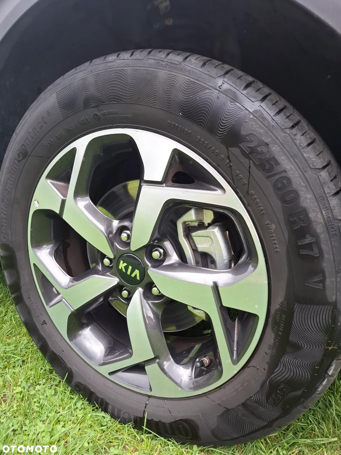 Kia Sportage 1.6 CRDI L 2WD - 15