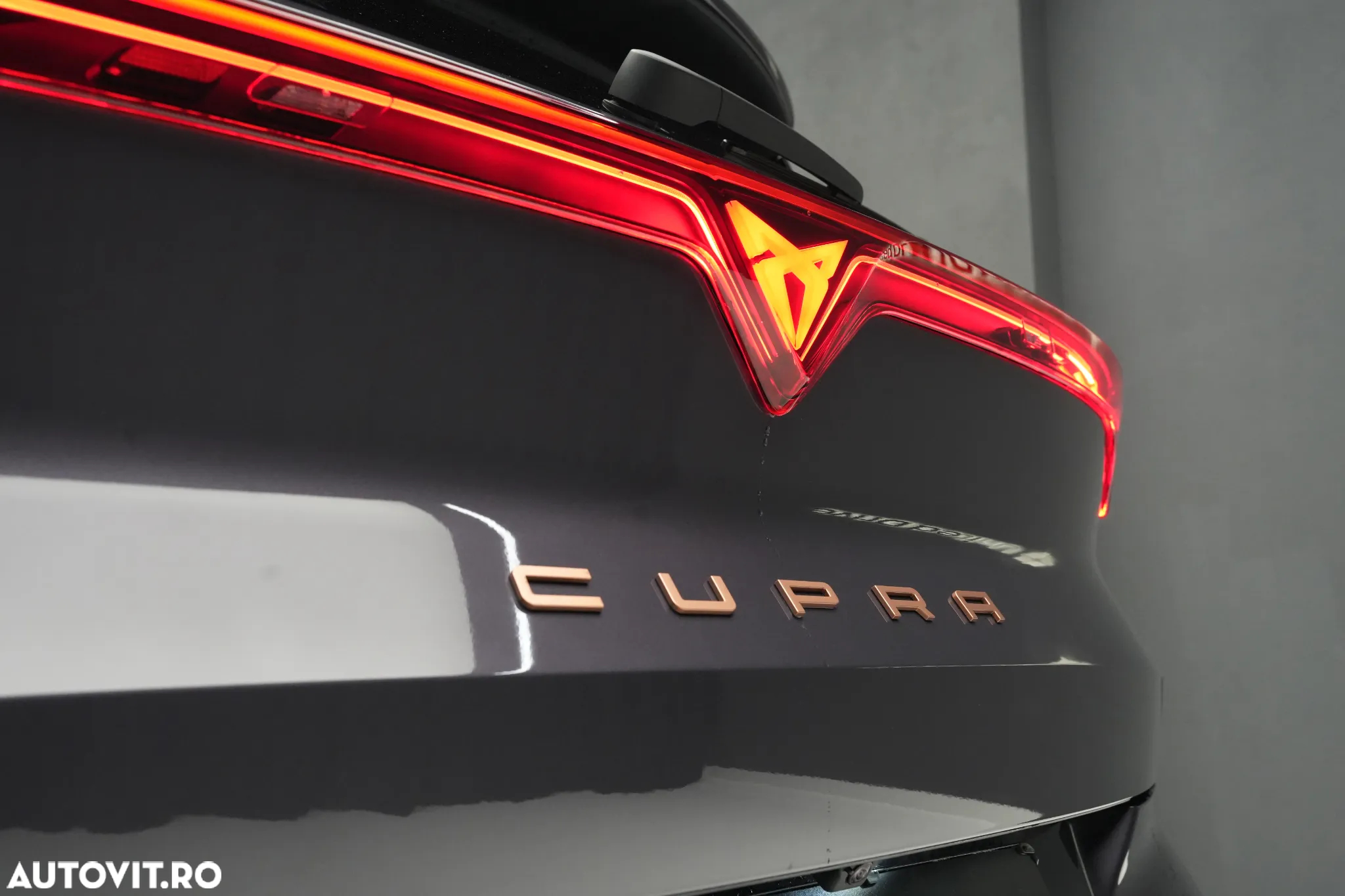Cupra Terramar - 34