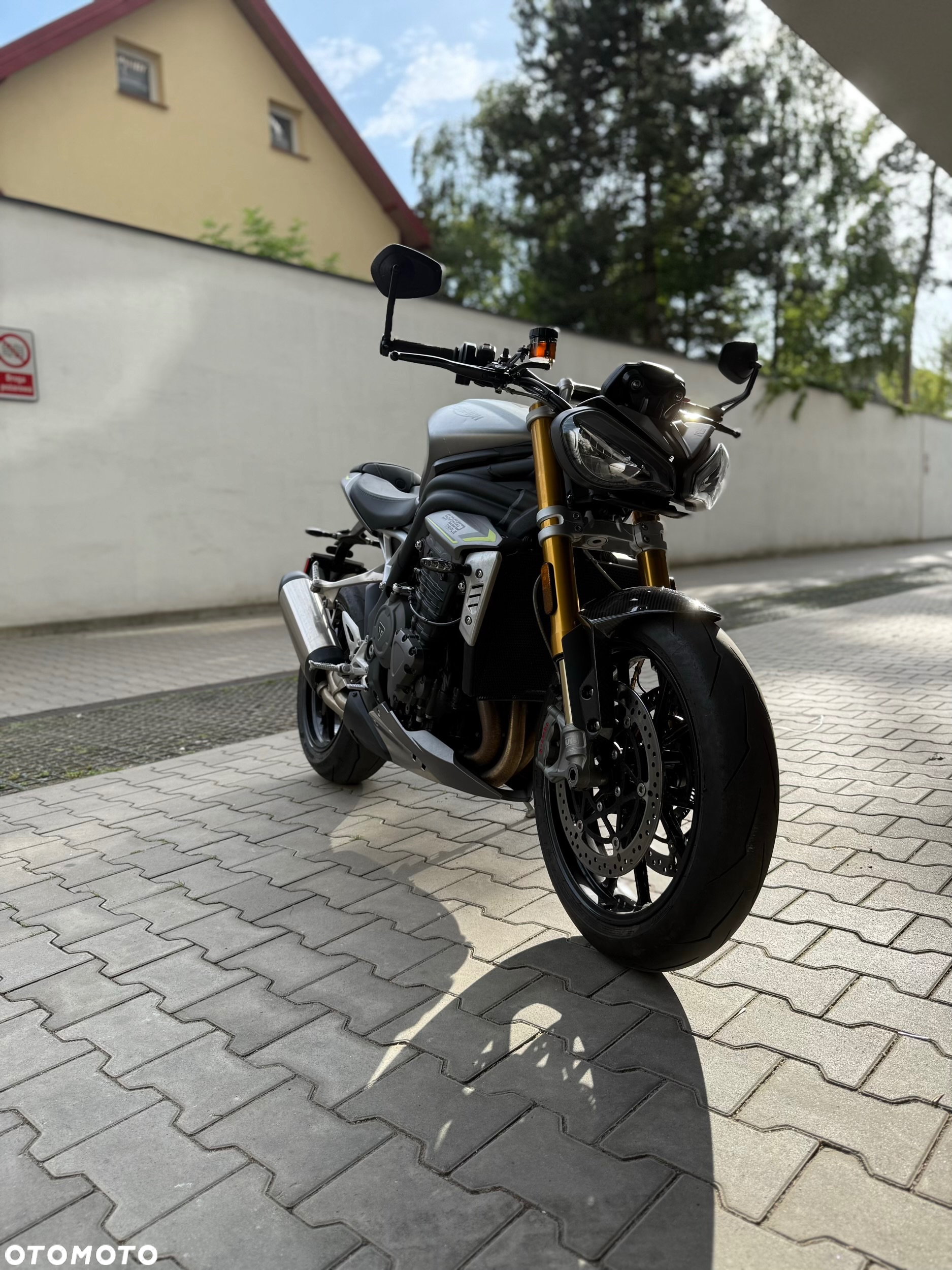 Triumph Speed Triple - 9