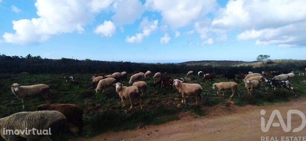 Terreno T1 em Vila do Bispo e Raposeira de 715460,00 m2 - Grande imagem: 3/11