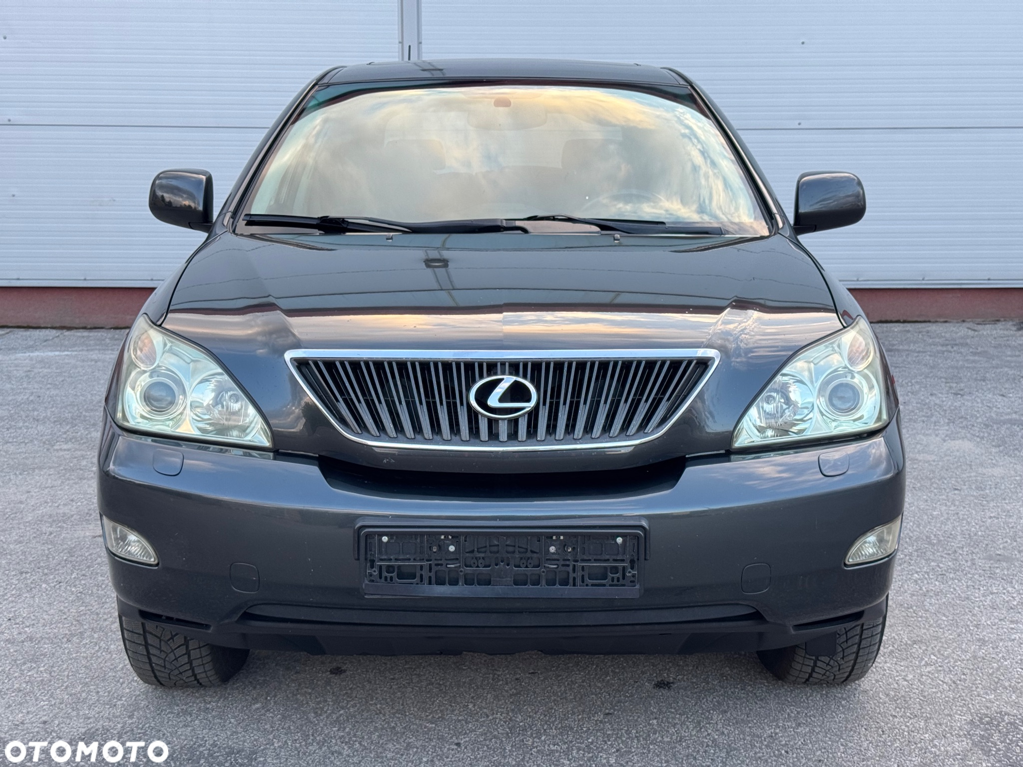 Lexus RX 300 Luxury - 8