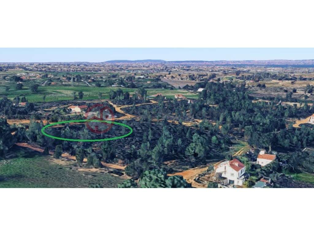 Dois Terrenos Rústicos com 1,125m2 em Pinheiro Ramudo, Quinta do Anjo - Grande imagem: 2/8