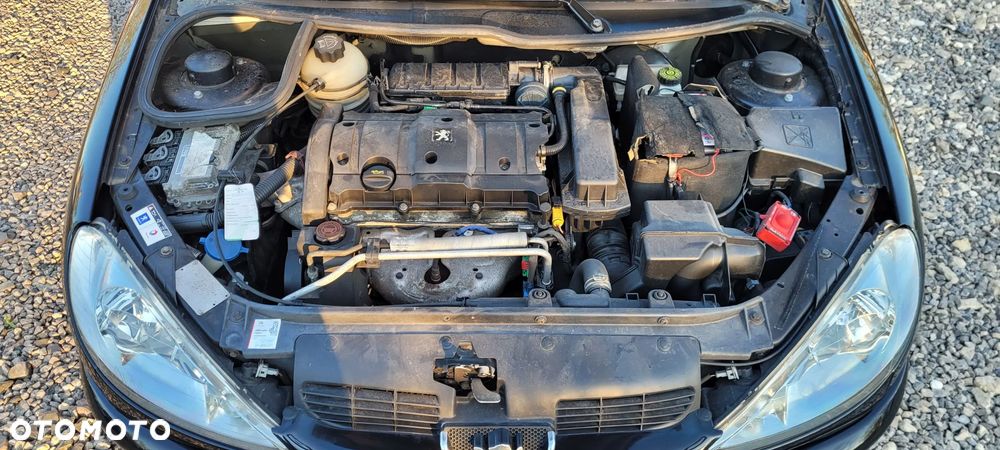 Peugeot 206 110 Quiksilver - 26