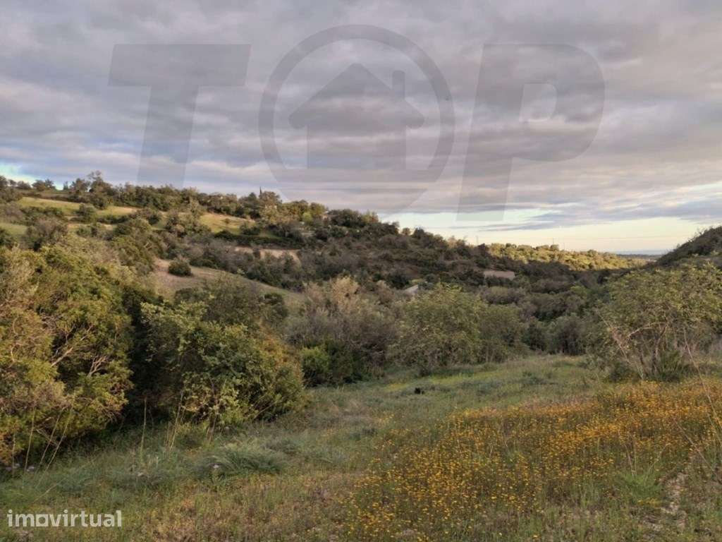 Terreno Rústico com 8.618 m² - São Sebastião, Loulé - 114.000 € - Grande imagem: 2/5