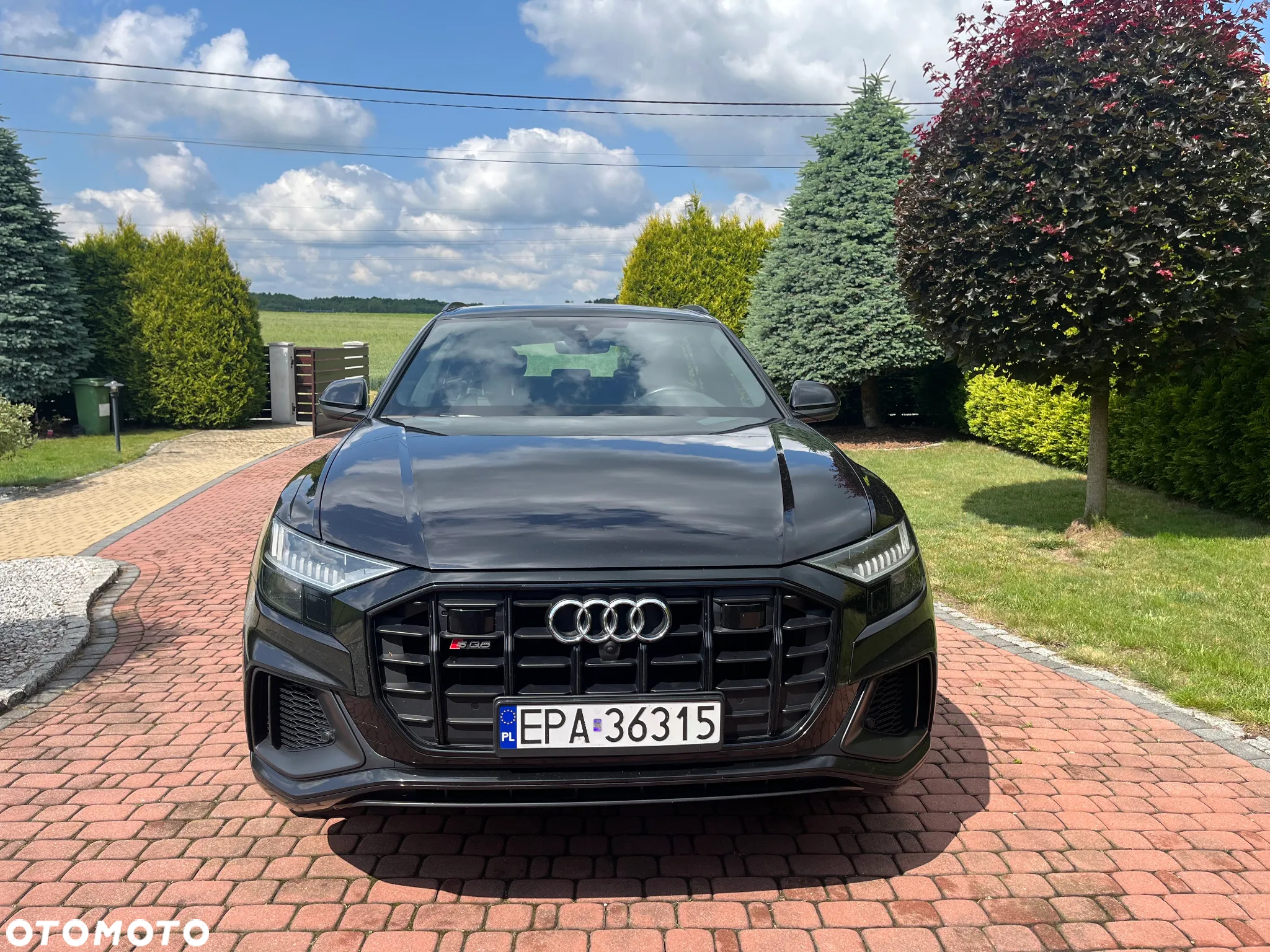 Audi SQ8 - 2