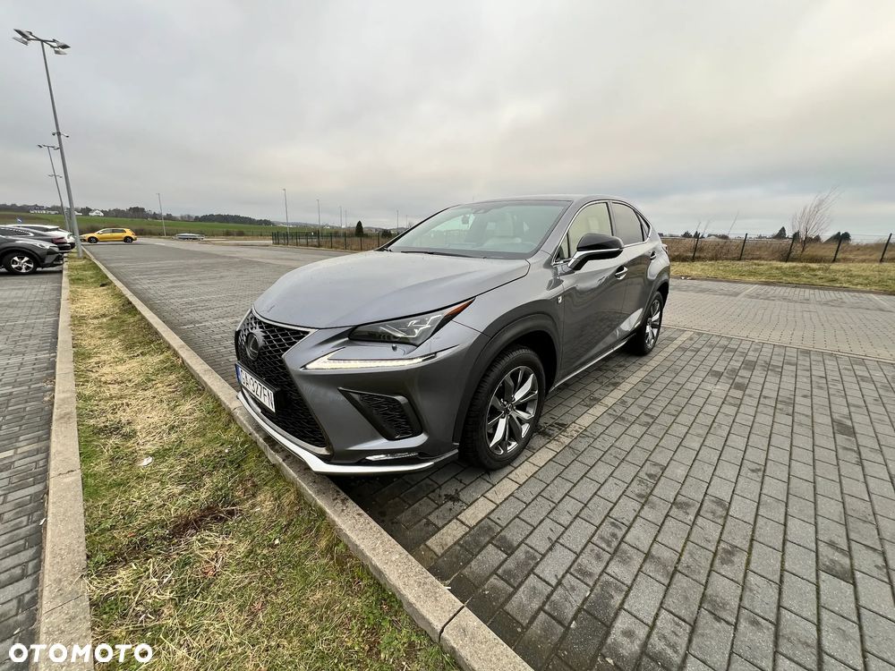 Lexus NX 300h F Sport AWD - 20