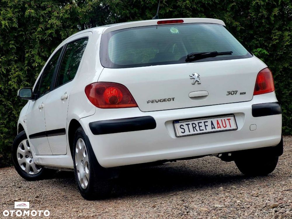 Peugeot 307 - 15