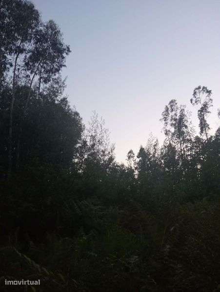Terreno rústico  com 1071 m2 - Grande imagem: 2/2