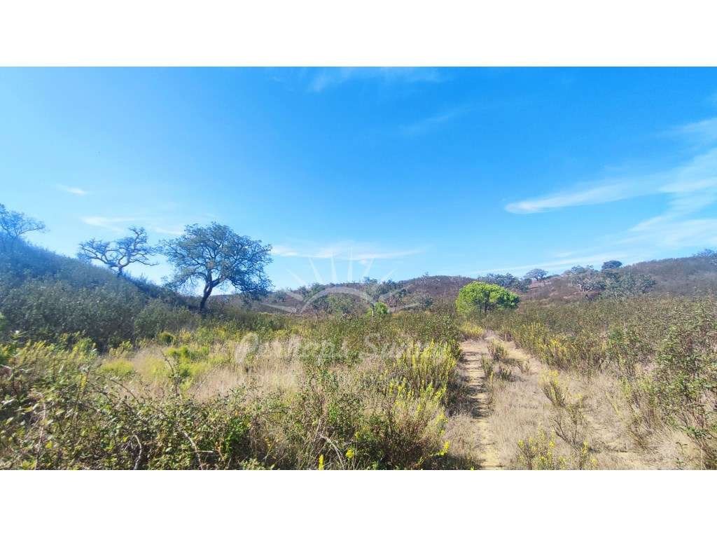 Terreno Rústico - Grande imagem: 3/26