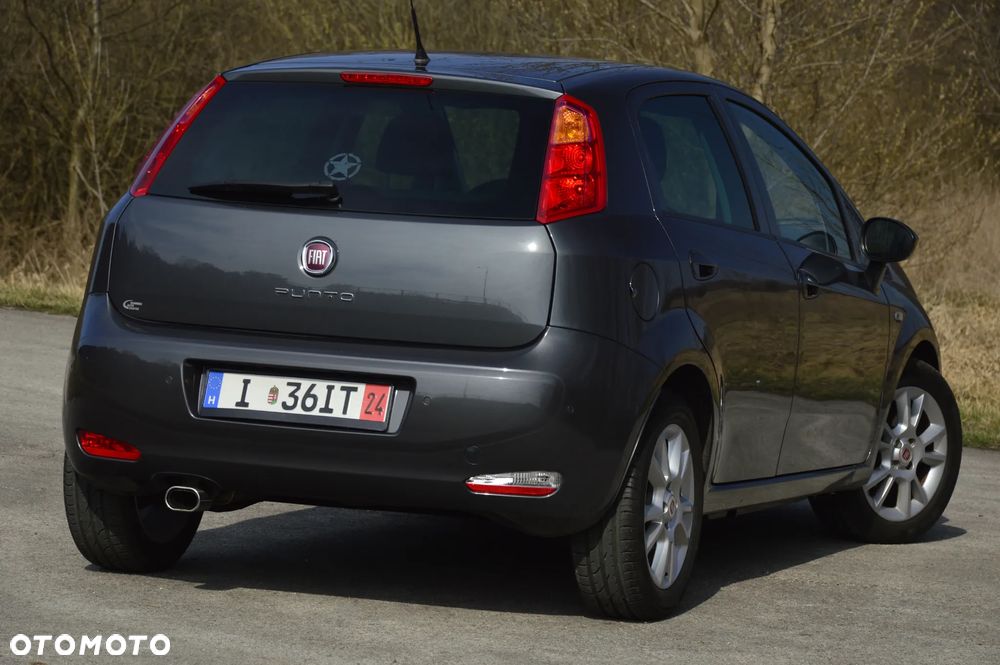 Fiat Punto - 16
