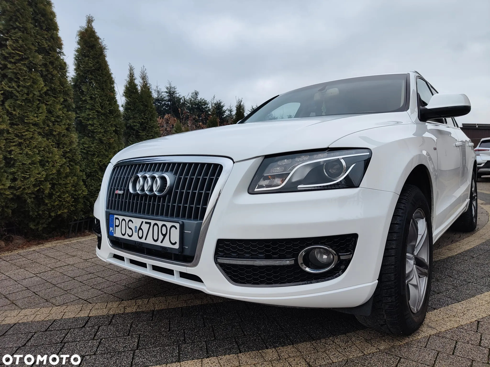 Audi Q5 - 2