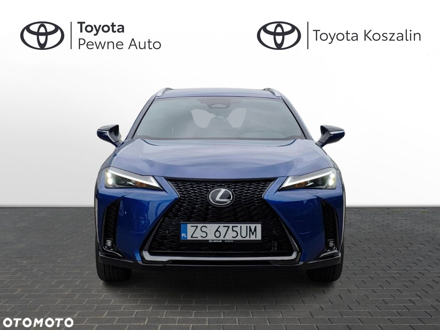 Lexus UX 300h F Sport Design - 8