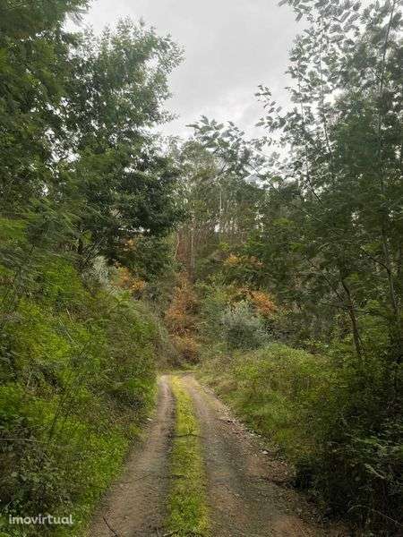 Terreno para venda em Porto da Carvalha,  Penacova - Grande imagem: 2/5