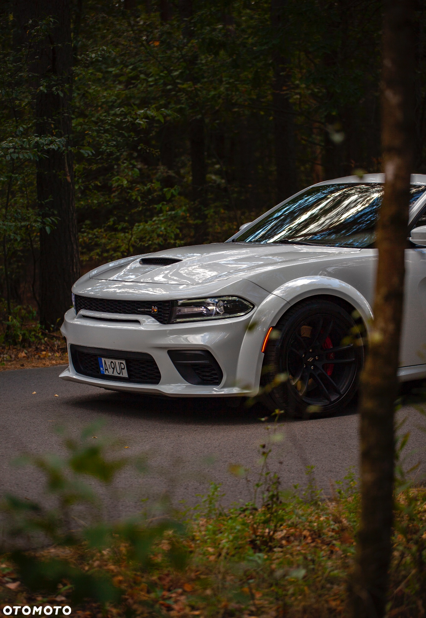 Dodge Charger 6.4 Scat Pack Widebody - 3
