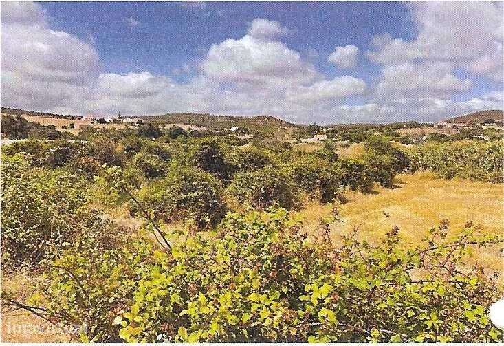 Moradia Rústica com Terreno Amplíssimo – Cotifo, Lagos/ Barão S. João - Grande imagem: 5/6