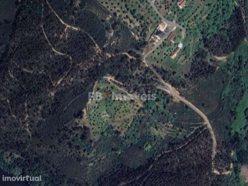 Terreno rústico próximo do rio - Casal do Rei, Abrantes - Grande imagem: 4/4