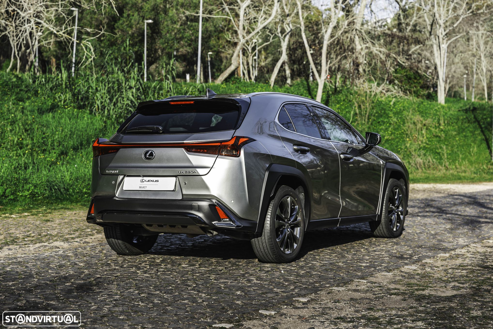 Lexus UX 250h Sport (Ecrã 12.3) - 18
