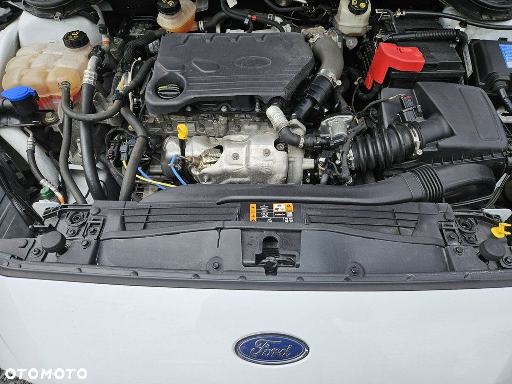 Ford Focus 1.5 EcoBlue Start-Stopp-System ST-LINE DESIGN - 20