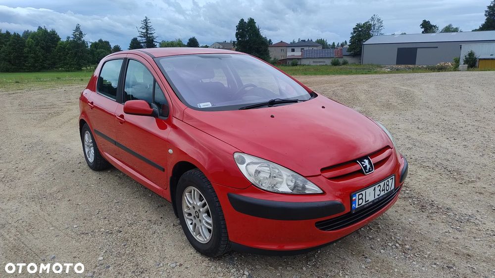 Peugeot 307 1.4 XR - 11