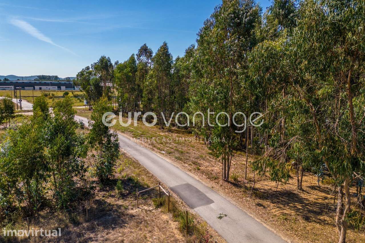 Terreno Industrial em Jardoeira - Batalha - Grande imagem: 3/25