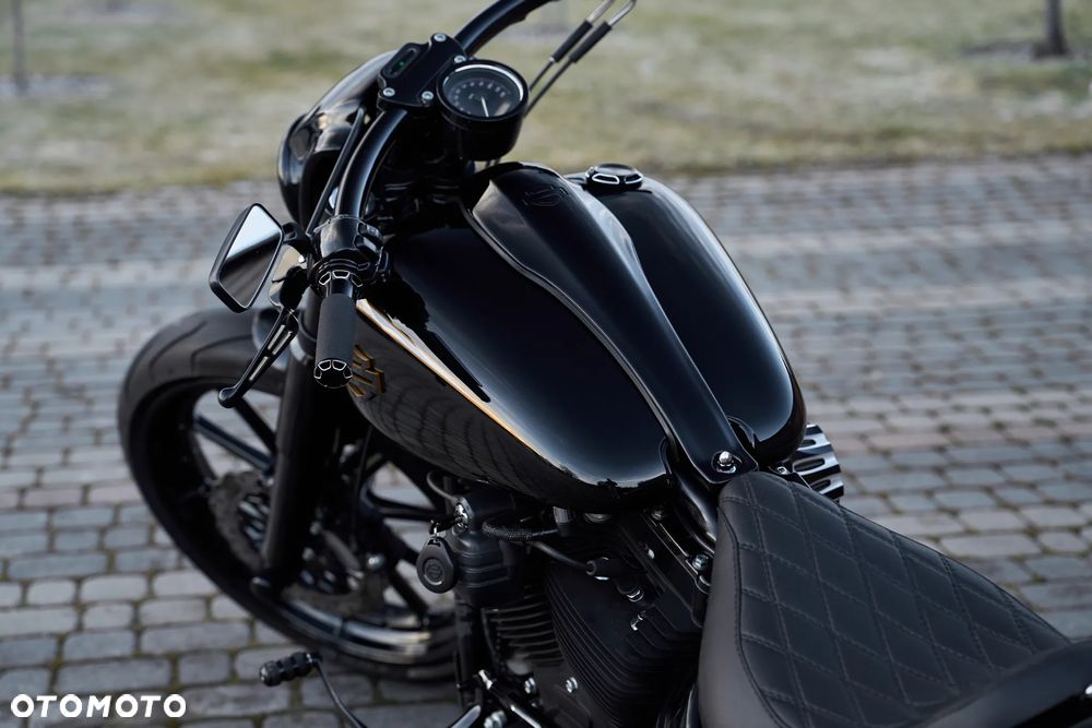 Harley-Davidson Inny - 22
