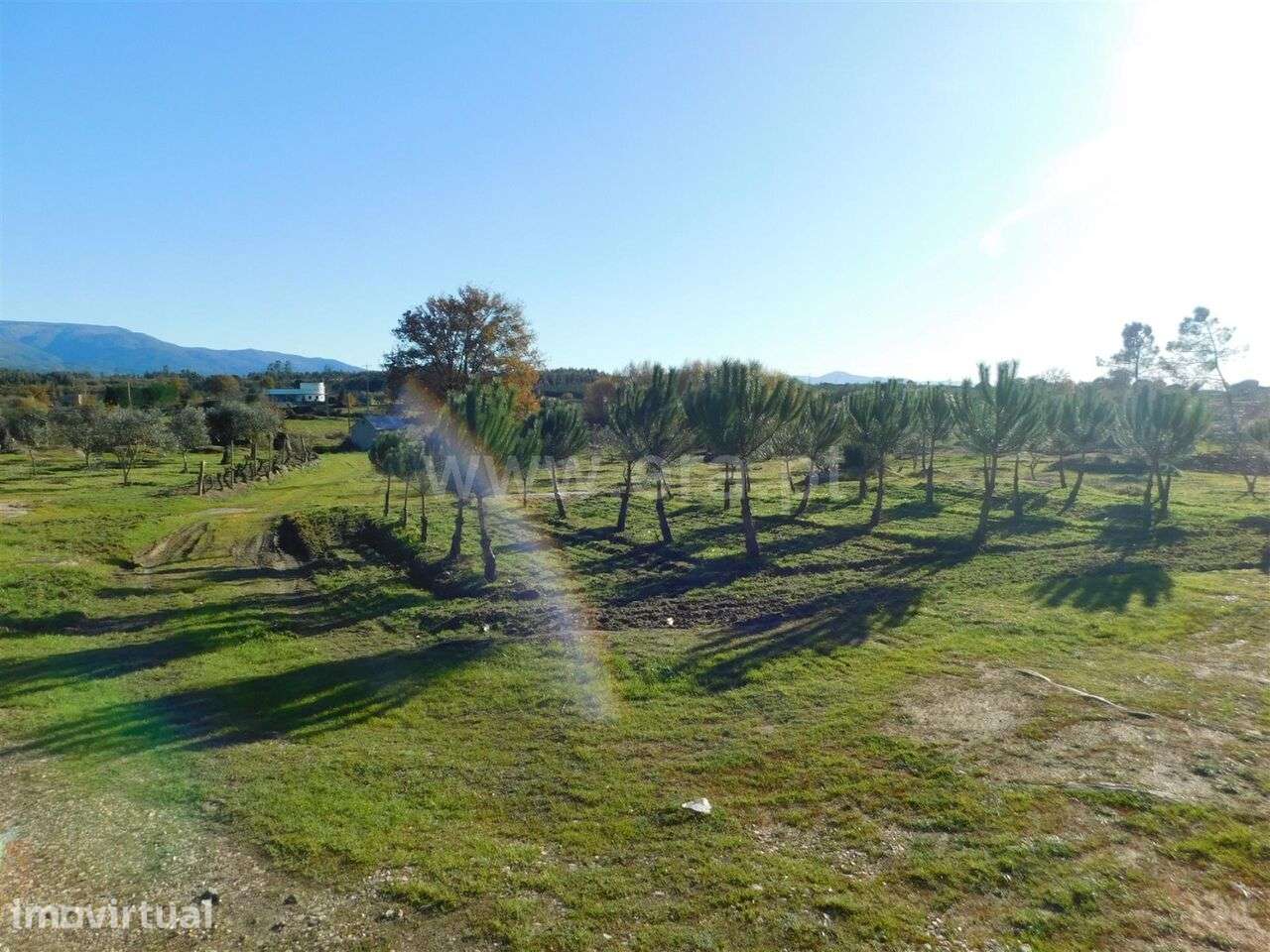 Quinta / Seia, Paranhos - Grande imagem: 5/11