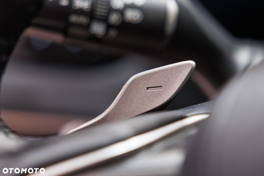 Lexus RX 450h+ Omotenashi - 31