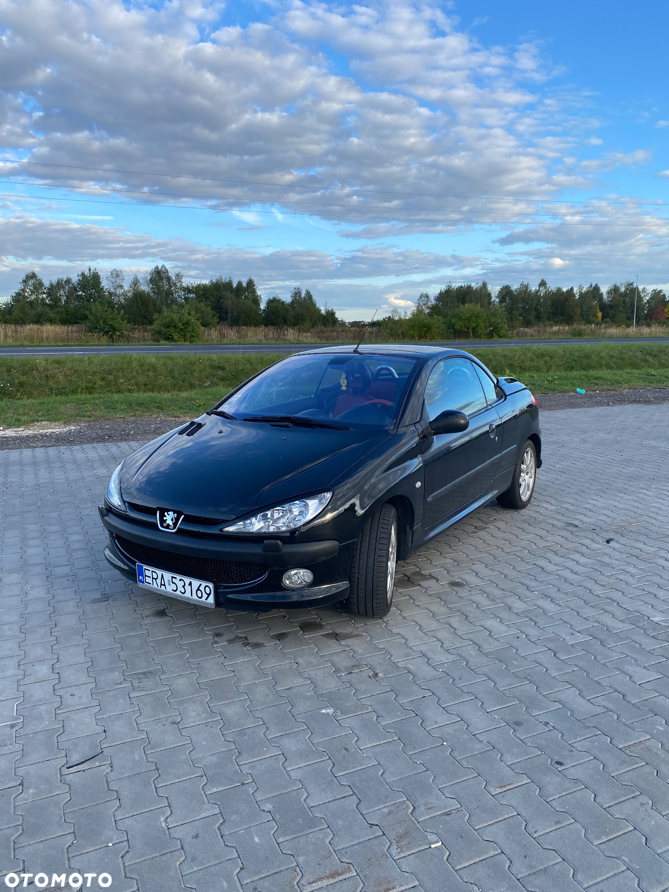 Peugeot 206 CC 110 - 2