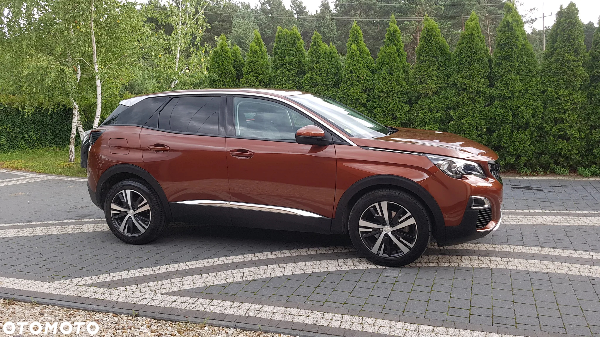 Peugeot 3008 1.6 BlueHDi Style S&S - 9