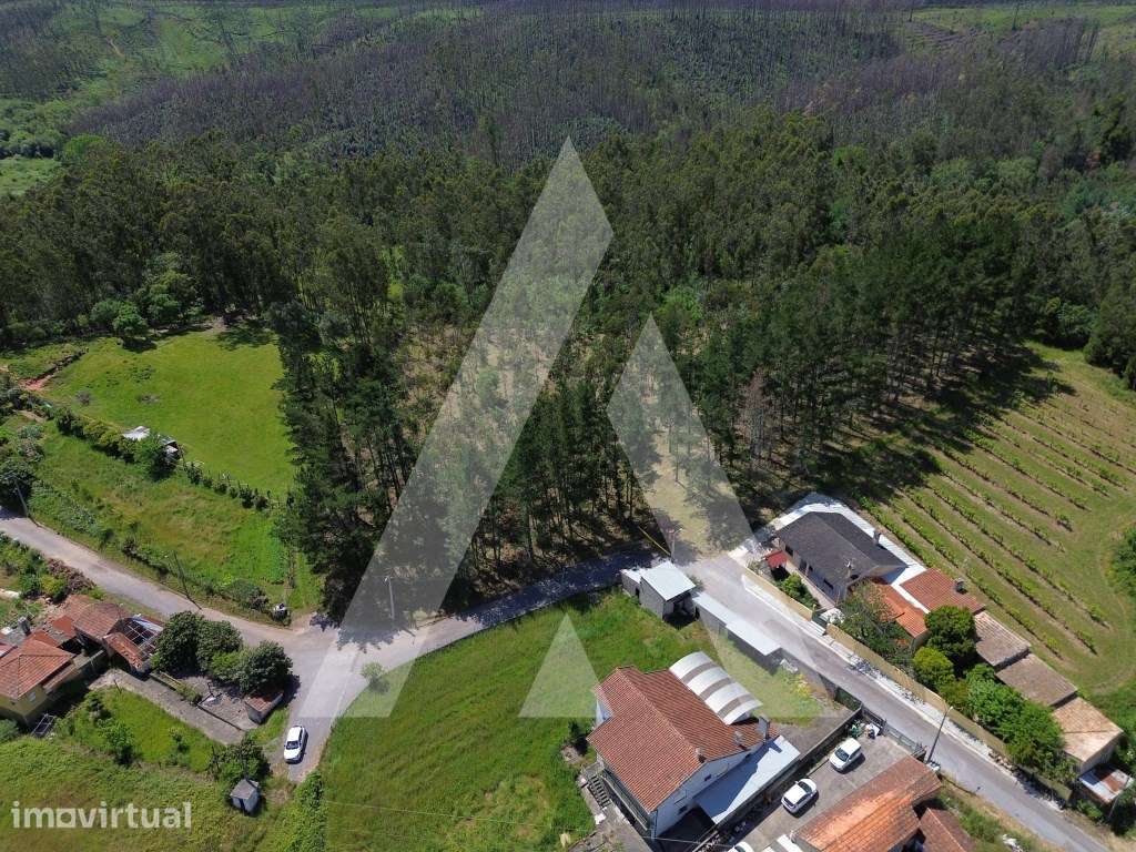 Terreno em Serém de Cima, Macinhata do Vouga - Grande imagem: 4/15