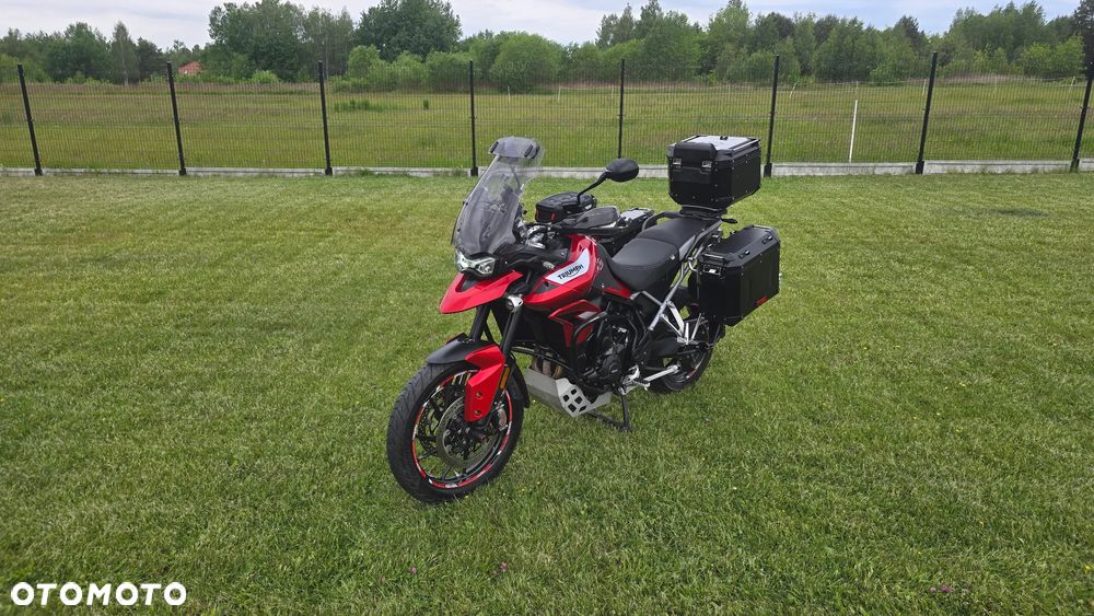 Triumph Tiger - 11
