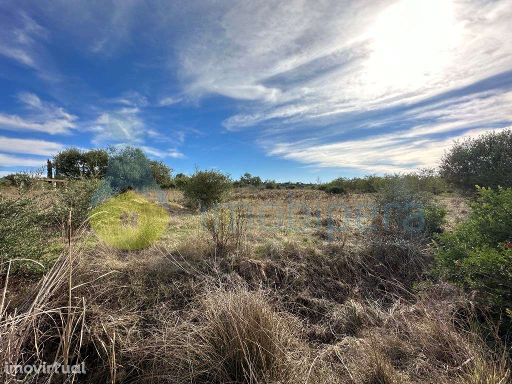 Terreno agrícola para investimento em Algoz - Grande imagem: 5/5