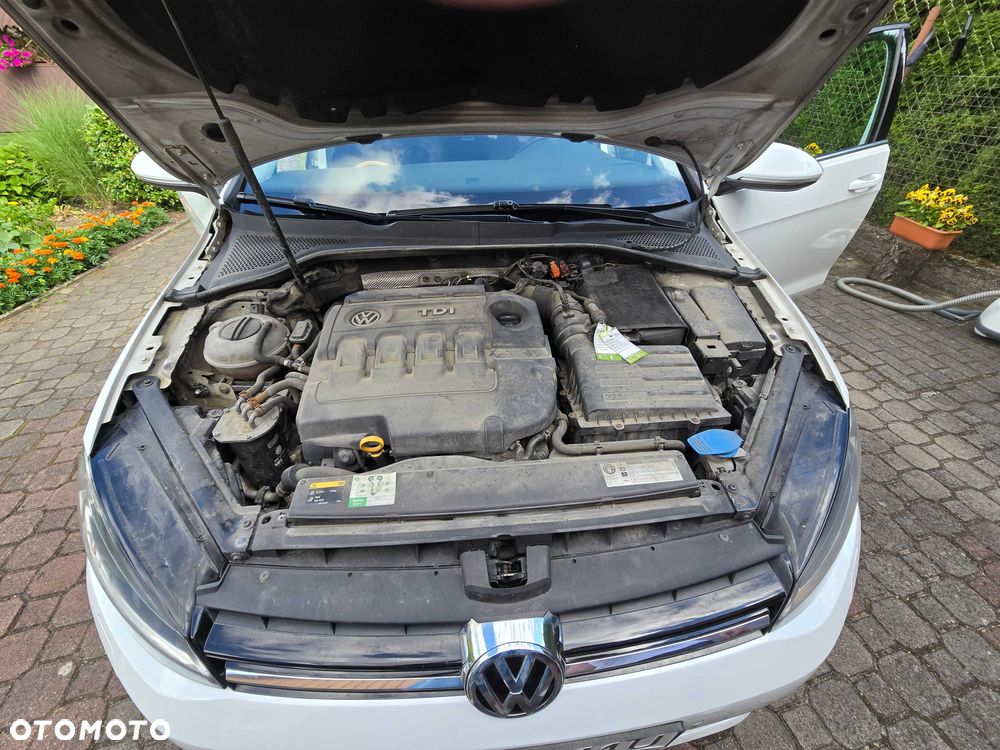 Volkswagen Golf - 4