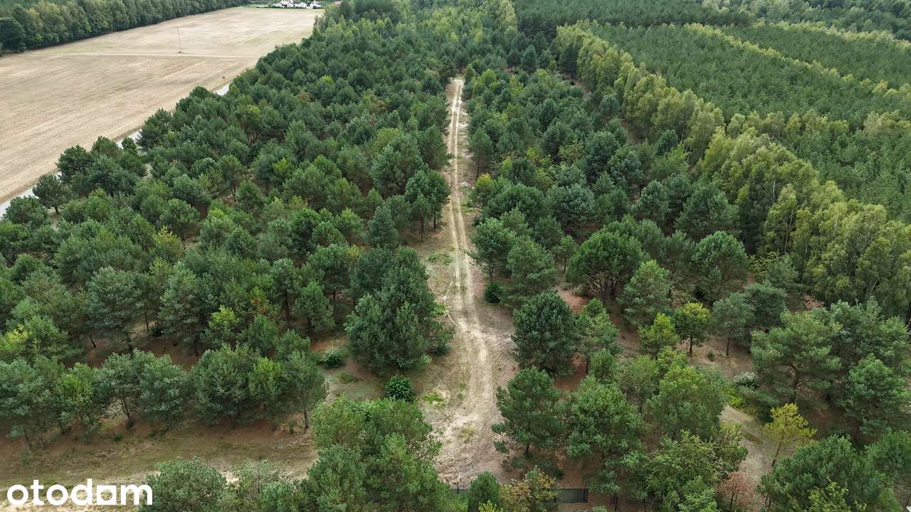 Działki budowlane pośród jezior i lasów - Pełny obrazek: 5/20