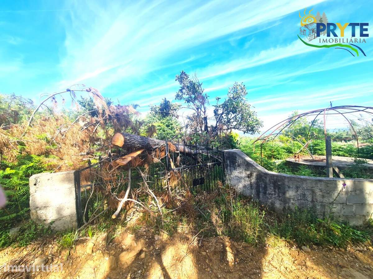 Quintinha agrícola situada Casalinho/Tapada - Grande imagem: 2/25