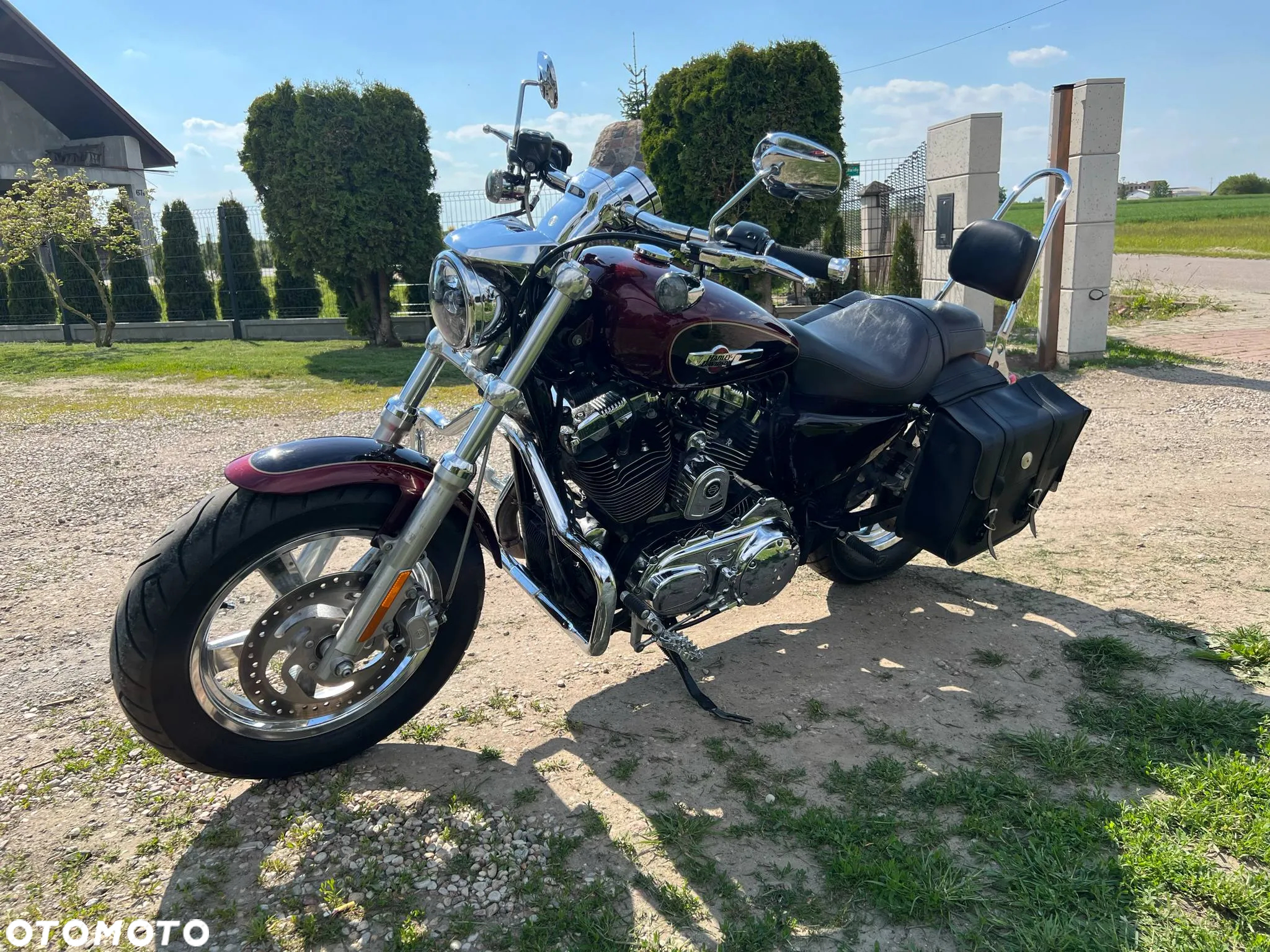 Harley-Davidson Sportster Custom 1200C - 13