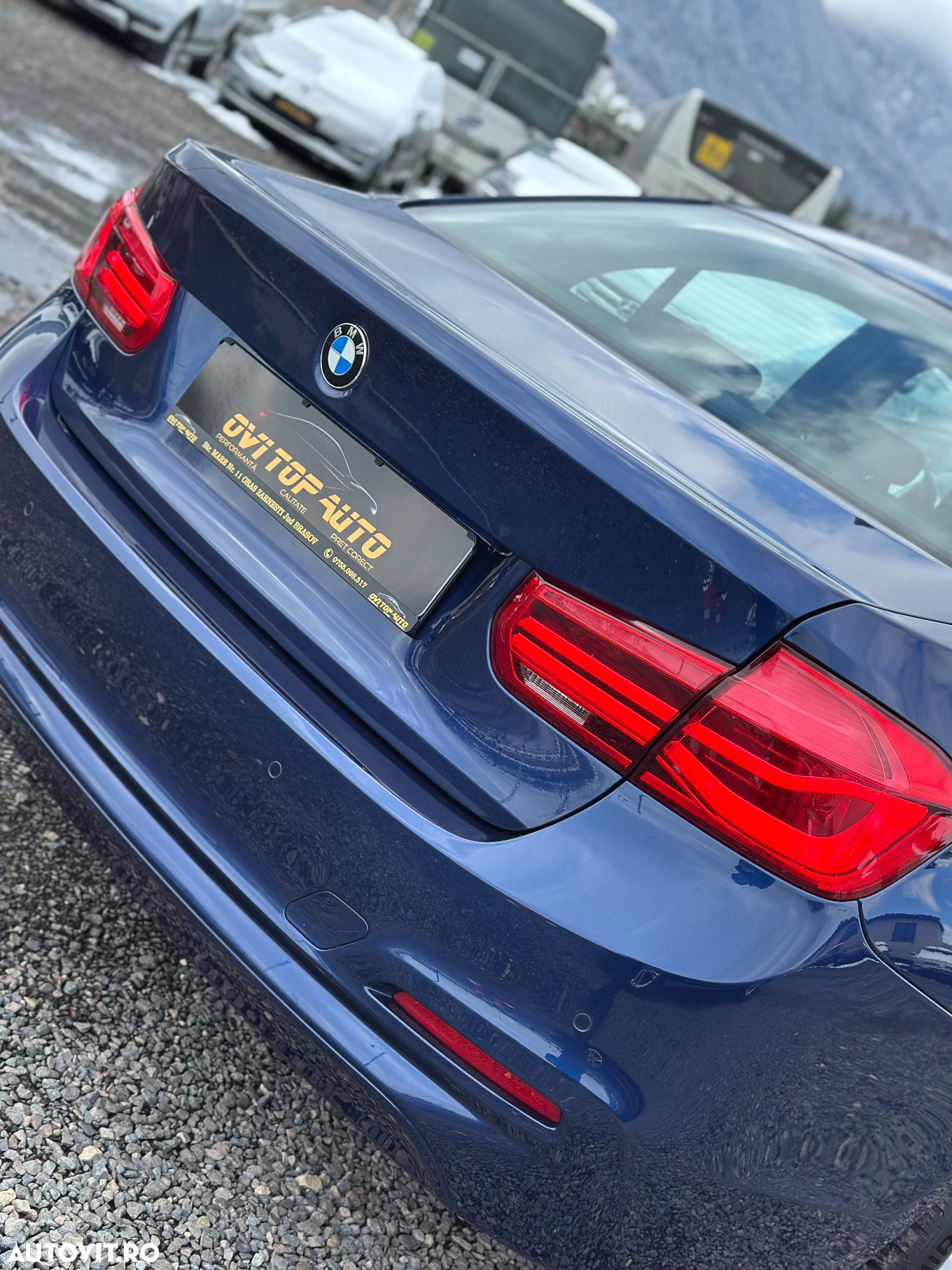 BMW Seria 3 318d Advantage - 24