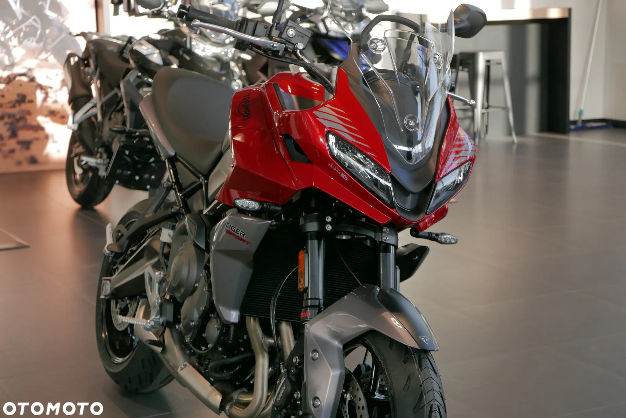 Triumph Tiger - 10