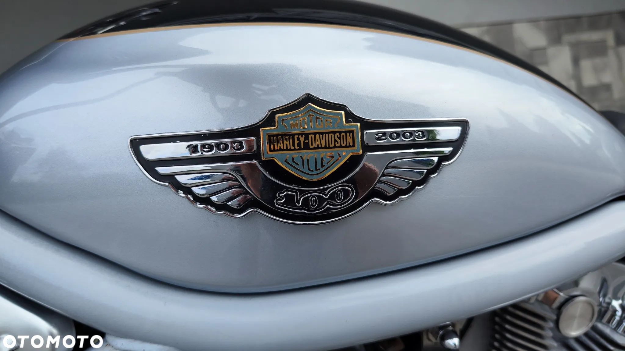 Harley-Davidson Softail V-Rod - 7
