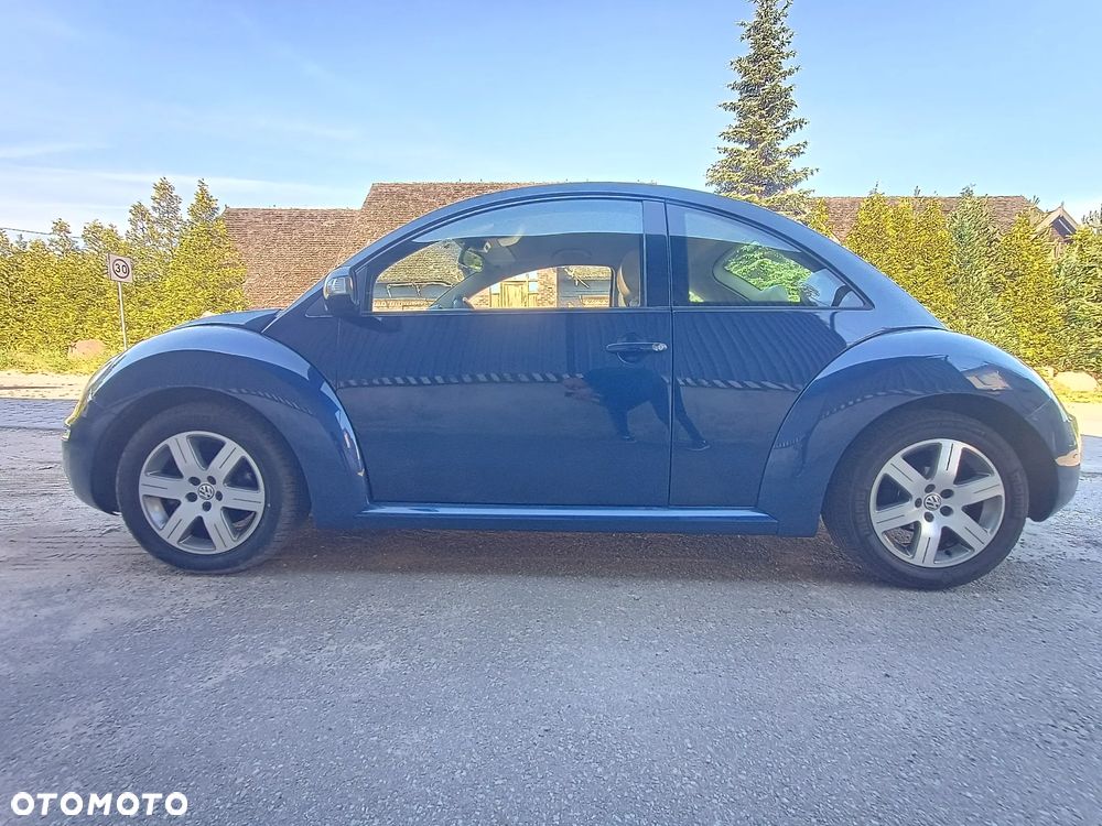 Volkswagen New Beetle - 19