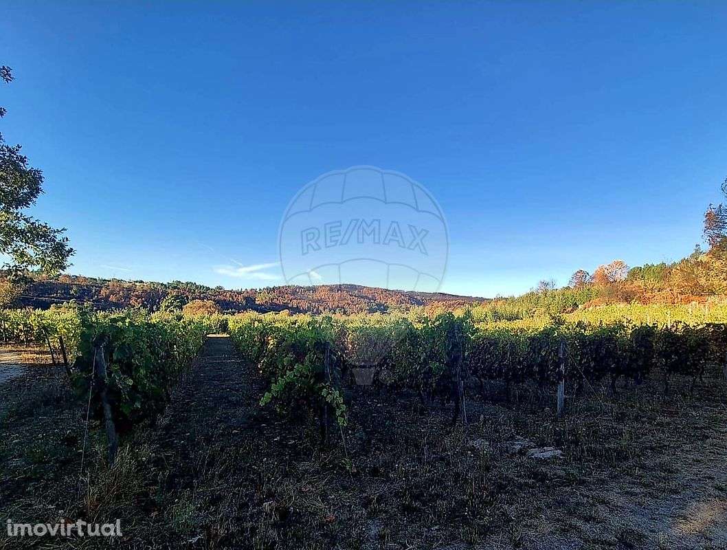 Terreno  para venda - Grande imagem: 3/11