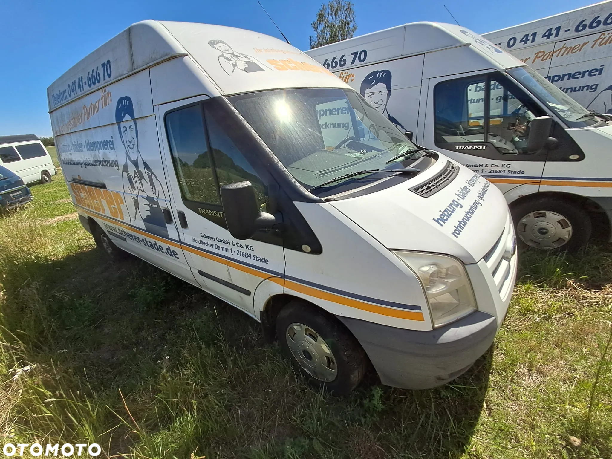 Ford Transit - 3
